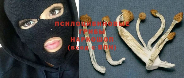 МДПВ Пестово