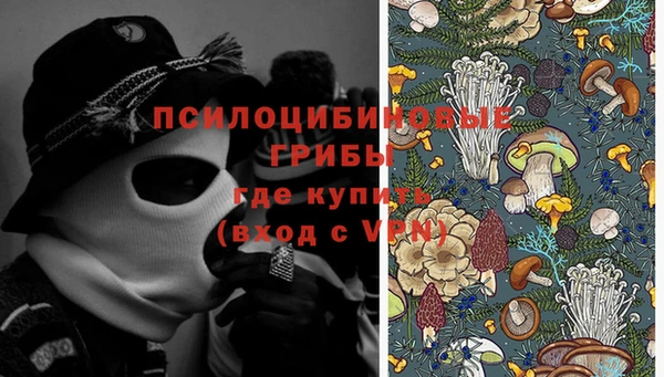 винт Балахна
