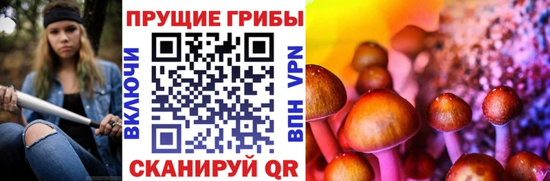 Галлюциногенные грибы GOLDEN TEACHER  Дорогобуж 